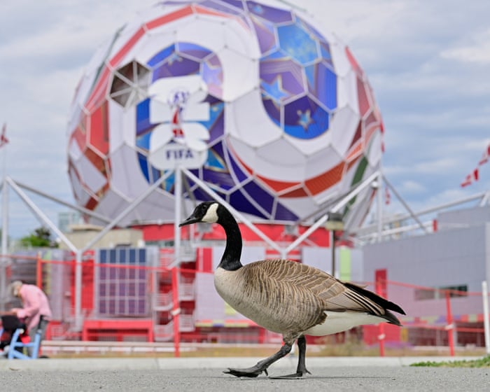 Football Daily | It’s World Cup week – will the hope, memes and dreams be as good as it gets?