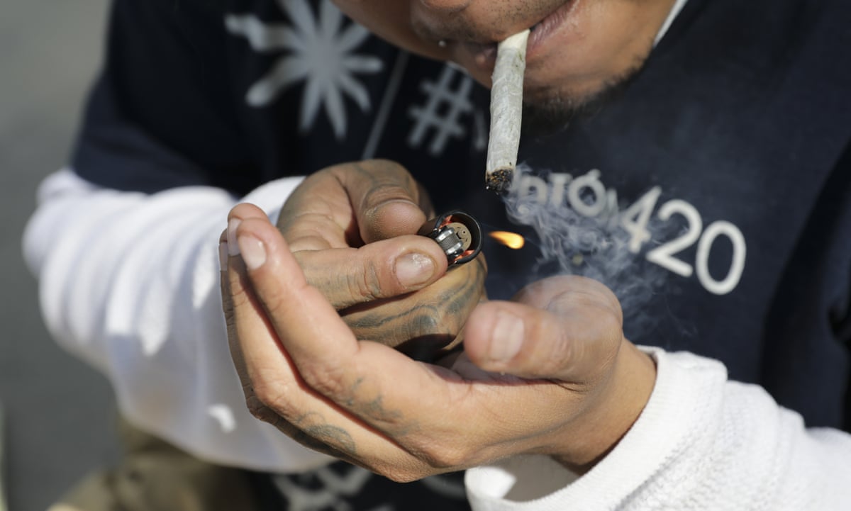 cigarette joint weed Cannabis users 'fail to grasp health risks of smoking,' study says | Cannabis cigarette joint weed Cannabis users 'fail to grasp health risks of smoking,' study says | Cannabis