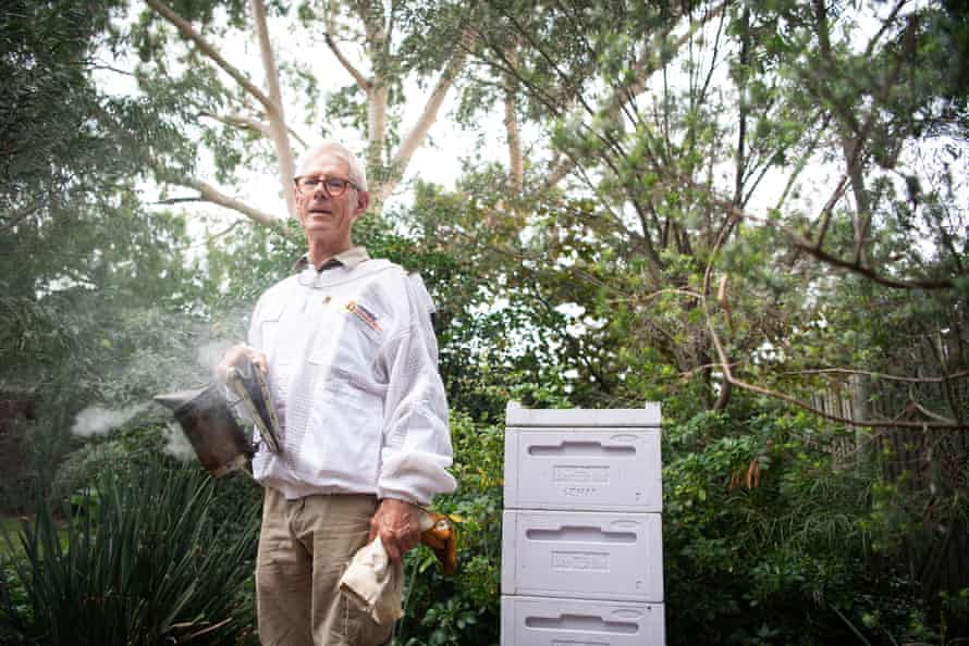 Beekeeping feature. Beekeeper Tony Wilsmore tends to one of his bee hives that is being hosted in a backyard in Melbourne’s inner northern suburbs. Australia
