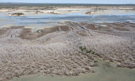 Aerial footage of ‘unprecedented’ mangrove die-off in the Gulf of Carpentaria in mid 2016. The die-off is thought to be a result of low rainfall and warm temperatures.