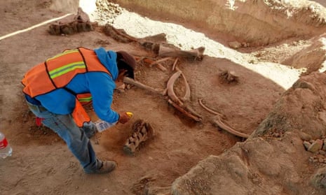 An archaeologist works at the site where bones of about 60 mammoths were found just north of Mexico City in an undated photo.