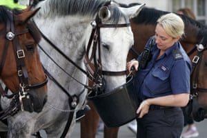Officer watering horse