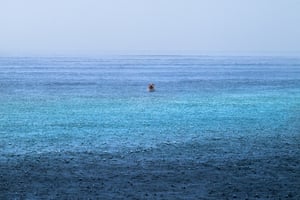 A seal far out in some blue sea