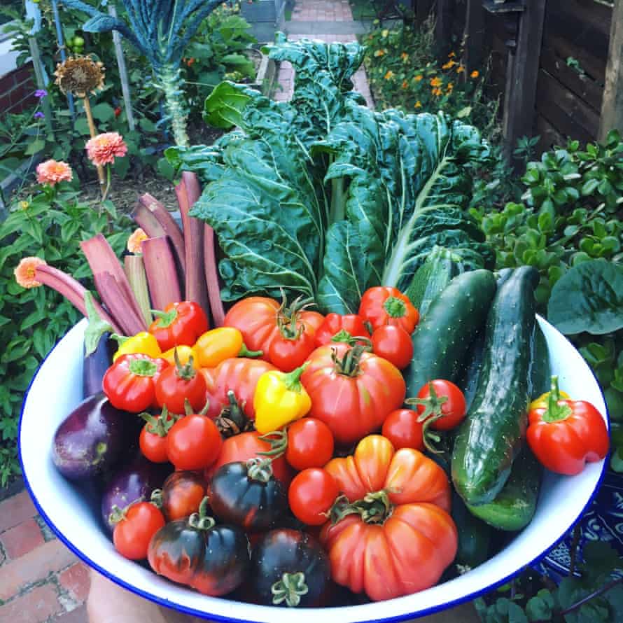 photo of lots of vegetables