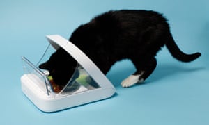 The Surefeed pet feeder makes sure everyone gets their fair share
