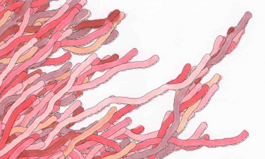 the colour of numbers visions of our mathematical universe