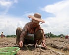Here are 10 ways a ‘super’ El Niño could impact the planet | Benjamin Selwyn