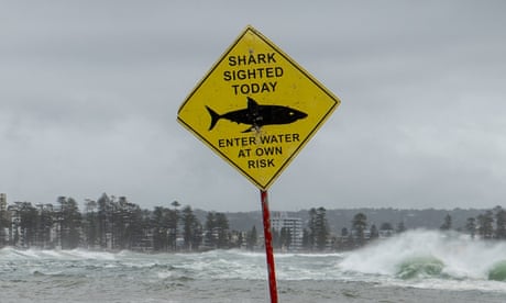 Shark warning sign at Manly beach