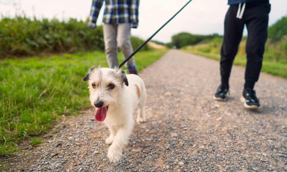 `` Demandez-vous si les choses qui vous remontent le moral, comme une promenade dans le parc ou un bâton pour votre chien, échouent. ''