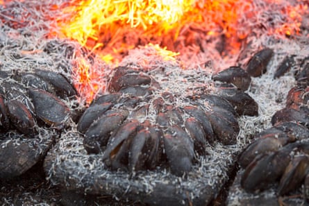 Mussels cooked in a fire
