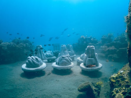 Artifical reefs on the sea bed