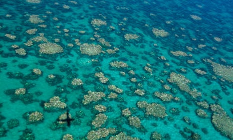 A record-breaking heatwave means the Great Barrier Reef is again under threat of coral bleaching.
