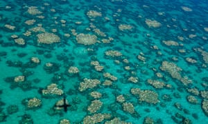 Great Barrier Reef