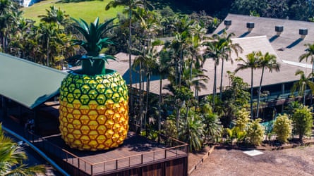 The present-day Big Pineapple.