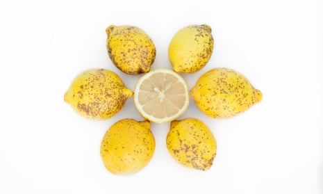 My funny lemon time: can we learn to love less-than-perfect produce? 