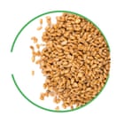 Seeds cut-out inside green-rimmed circle