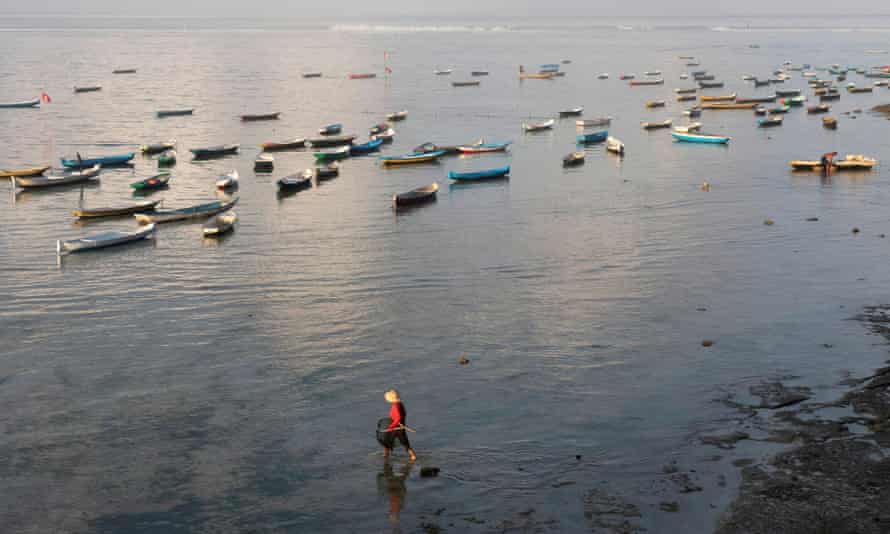 A woman sets out to harvest seaweed in Bali. The industry is crucial for thousands of people in Indonesia.