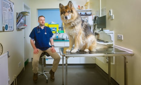 The vet will see you now: Danny Chambers, a vet and mental-health campaigner who runs the Veterinary Voices Facebook group, which has more than 15,000 members. On the table is Zac the dog.