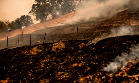 Firefighters watch as the edge of the fire creeps across a field towards a fire line they scraped into the earth with hand tools as the Glass fire continues to burn in Napa Valley, California.