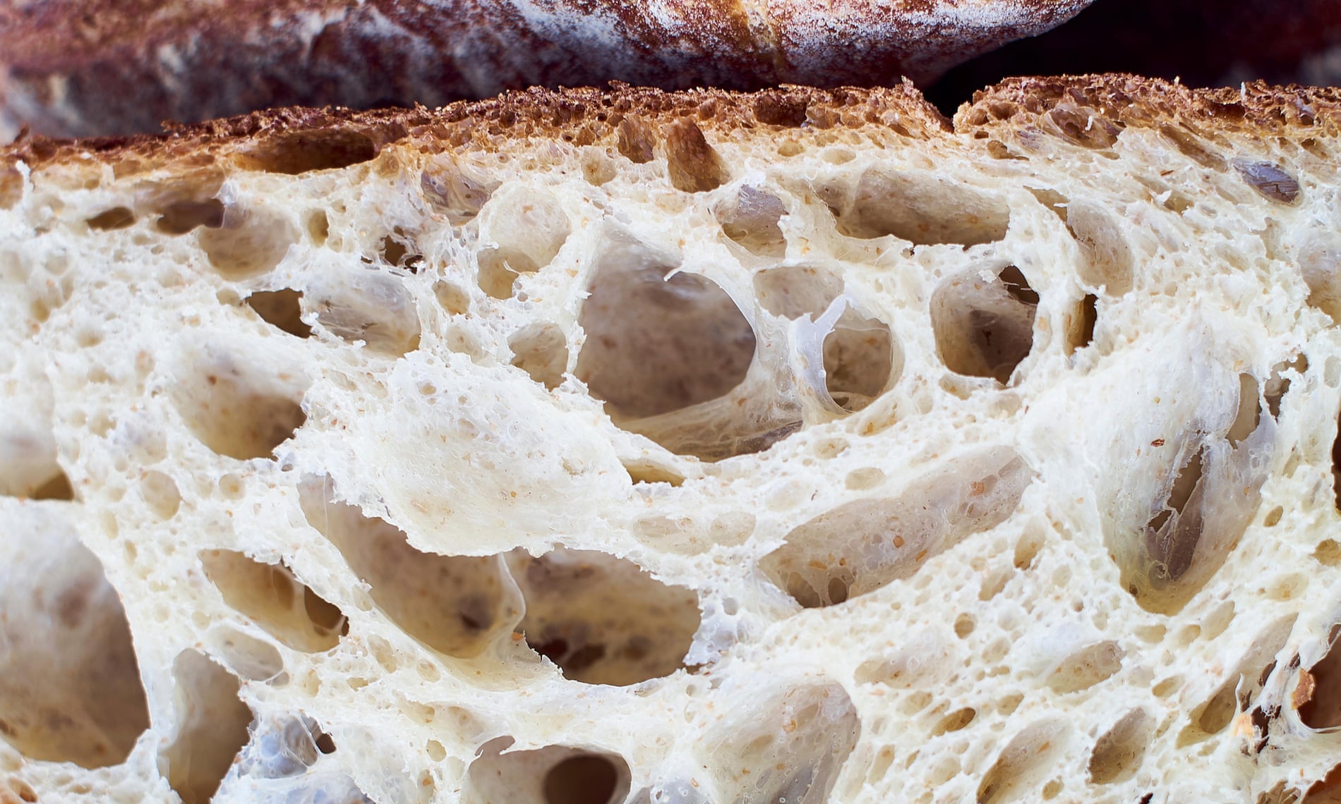 close up of sourdough-style artisan bread