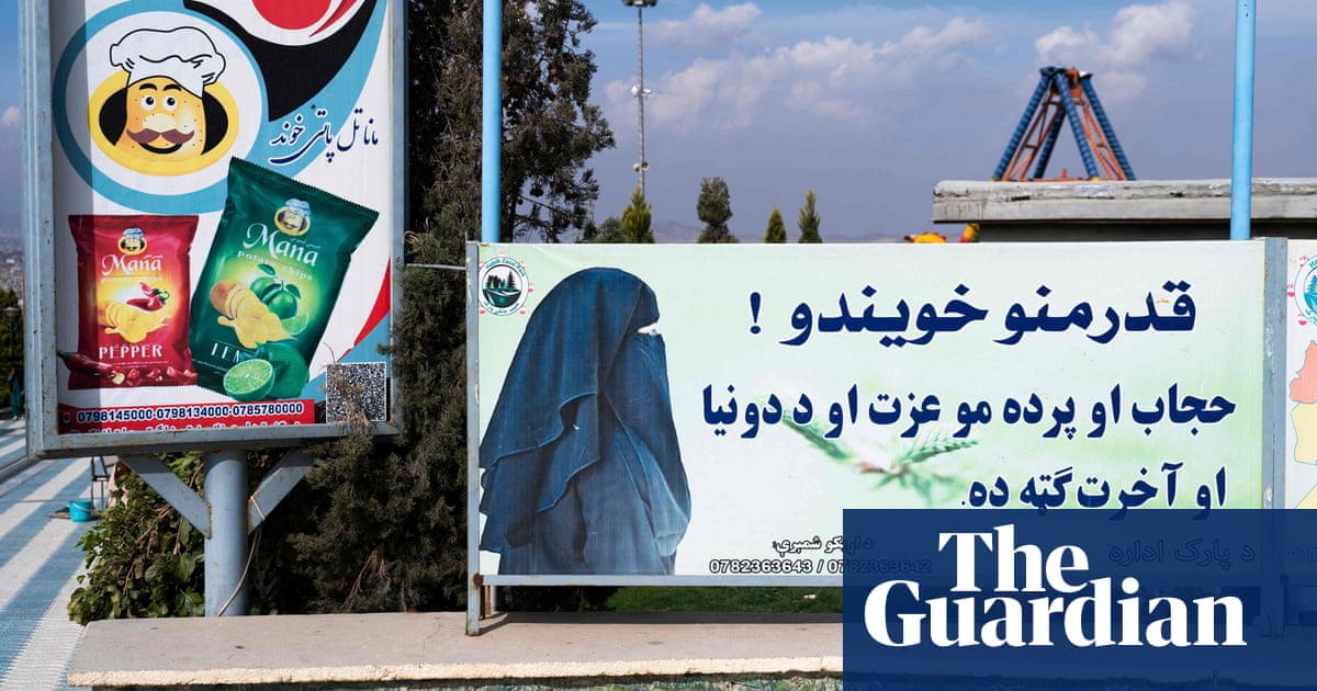 ‘In two days, I will have to beg on the streets’: what the Taliban’s bar on women’s NGO work means - The Guardian