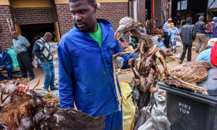 A market trader offers the body of a lappet-faced vulture at the Faraday muthi market in Johannesburg.