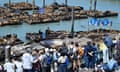 Record number of sea lions swarm in San Francisco<br>SAN FRANCISCO, CA - MAY 1: A view of sea lions at Pier 39 as officials say a record number of sea lions seeing the largest gathering in 15 years, in San Francisco, California, United States on May 1, 2024. (Photo by Tayfun Coskun/Anadolu via Getty Images)