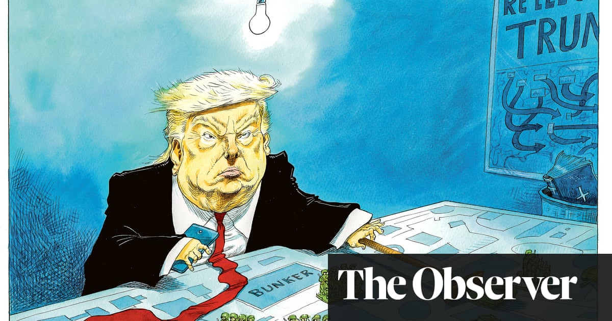 Donald Trump In His Bunker Cartoon Opinion The Guardian