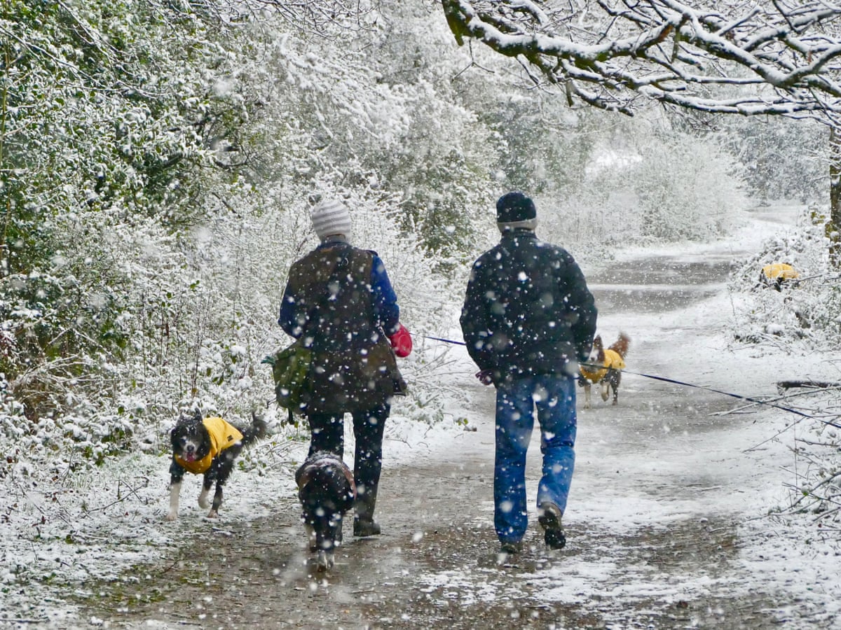 uk vaccinations to be rolled out to over 40s this week says nhs chief as it happened politics the guardian