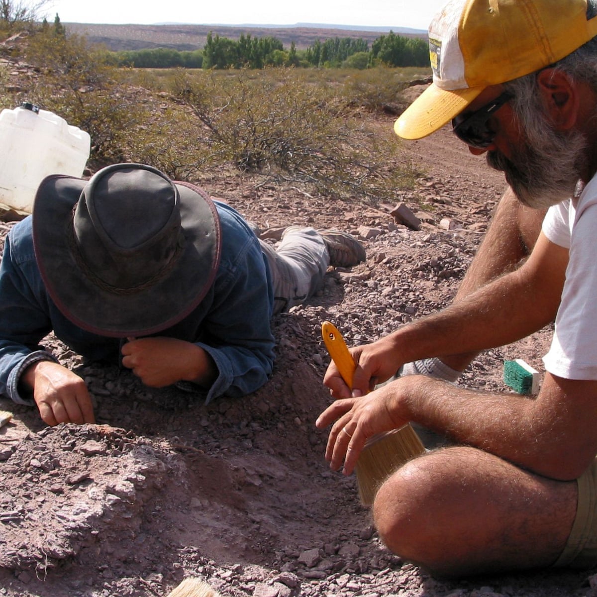 New dinosaur species unearthed in Argentina | Dinosaurs | The Guardian