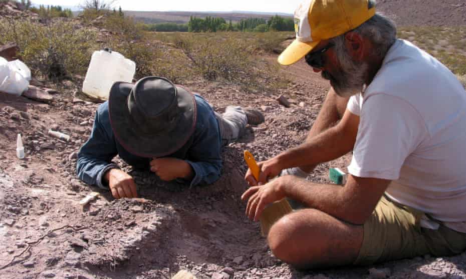  Spanish and Argentine investigators working on the extraction of the remains of three dinosaurs in the Argentine province of Neuquen. 
