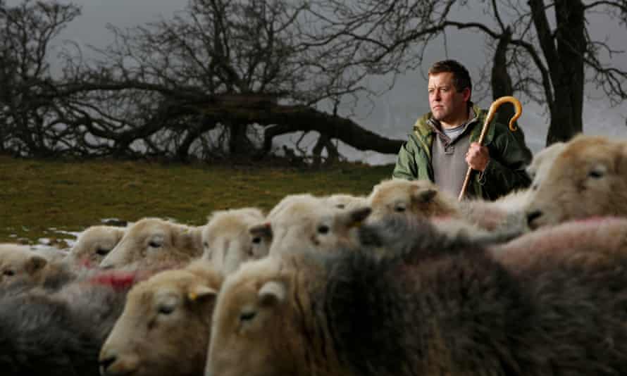 Ο συγγραφέας και αγρότης James Rebanks με το πρόβατό του Herdwick.