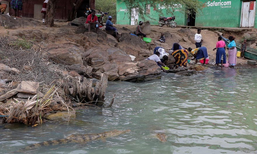 Crocodiles swim next to a group of people at the shore of Kampi Ya Samaki in October 2021.