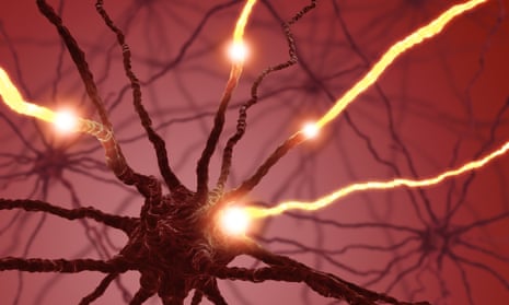 Interconnected neurons transfer information with electrical pulses