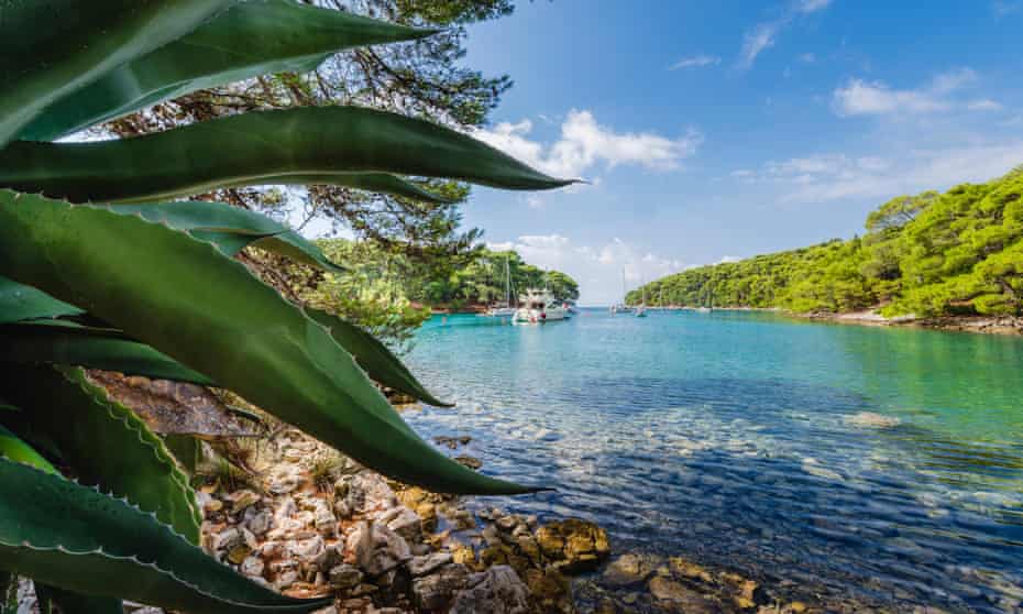 Sailing boats and yachts moored in the bay