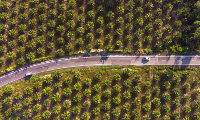 A blockchain tool that helps track sustainability, from palm oil to plastics