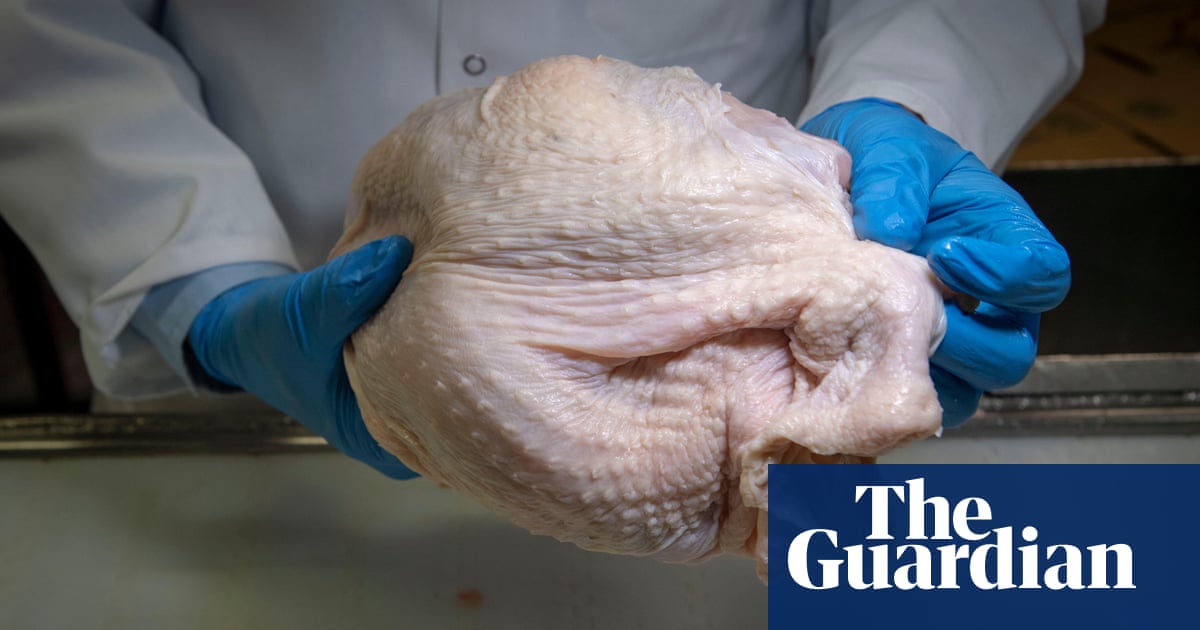 Guatemalan boy dies in Mississippi poultry plant accident