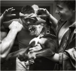 In one disturbing image, a dog is held by a drunken fratboy while being punched by another.