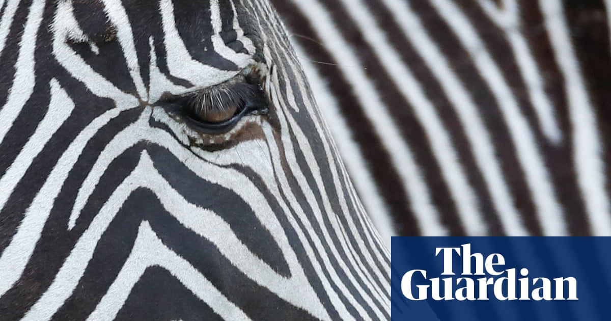 1299.jpg?width=1200&height=630&quality=8