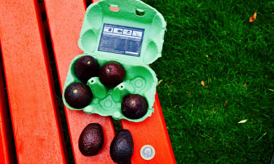 egg vocados we ve gone so mad for cado we ll buy even the little ones avocados the guardian