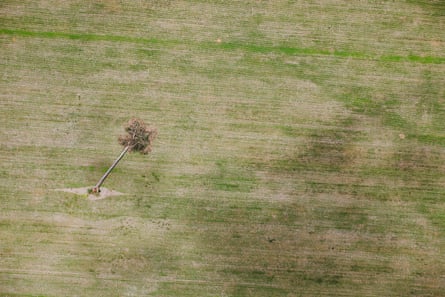 A soya-bean field south of the city of Santarém.