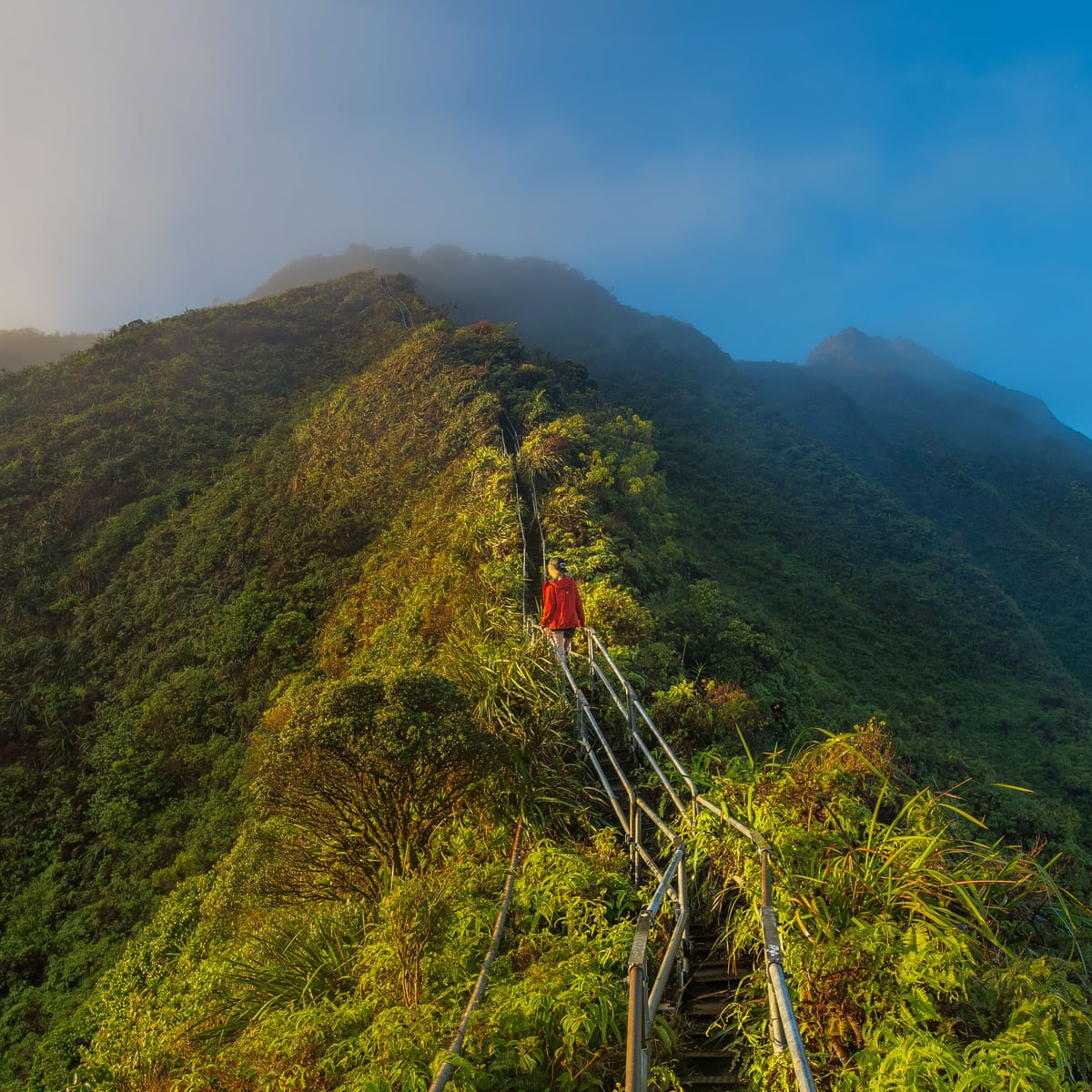 Hawaii To Remove Forbidden Staircase Due To Rampant Trespassing Hawaii The Guardian Hawaii To Remove Forbidden Staircase Due To Rampant Trespassing Hawaii The Guardian