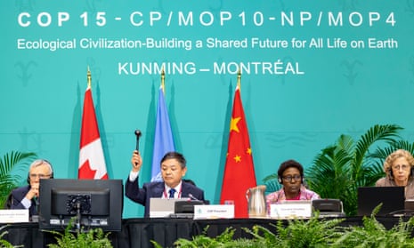 Cop15 deal is passed in Montreal, Canada. From left, David Ainsworth, Huang Runqiu, Elizabeth Mrema and Inger Andersen.