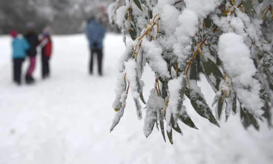 Antarctic blast to bring cold weather, rain and snow to south-eastern Australia | Australia weather | The Guardian