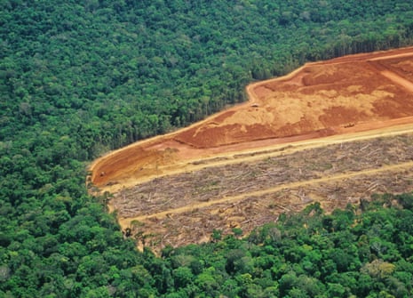 Deforestation in the Amazon - detail of an area.