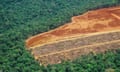 Deforestation in the Amazon - detail of an area.
