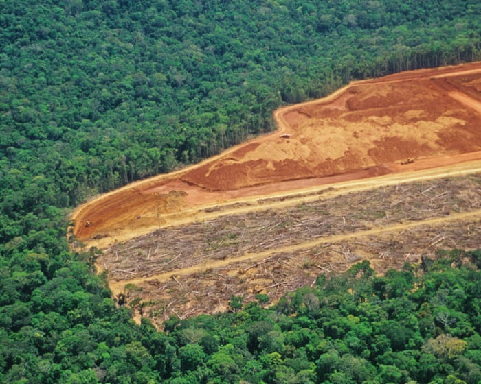 UN warns of ‘narrowing window’ to restore world’s forests