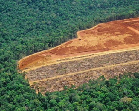 Deforestation in the Amazon