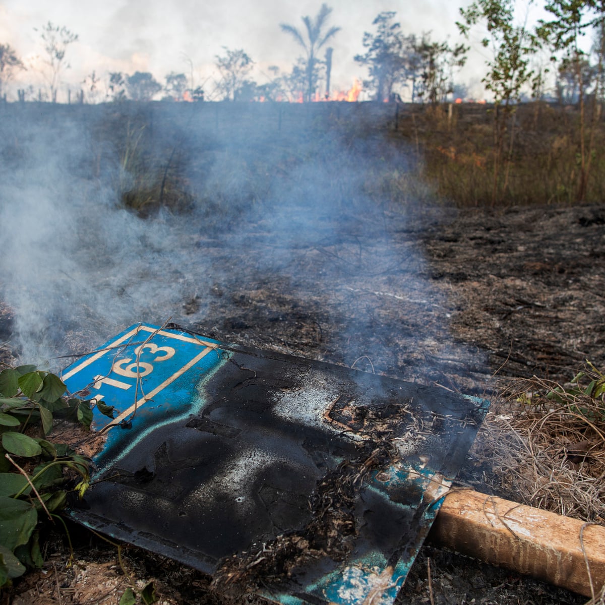 Forest Fire Season Is Coming How Can We Stop The Amazon Burning Environment The Guardian Forest Fire Season Is Coming How Can We Stop The Amazon Burning Environment The Guardian