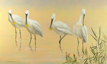 Spoonbills on Cley marshes by Martin Woodcock